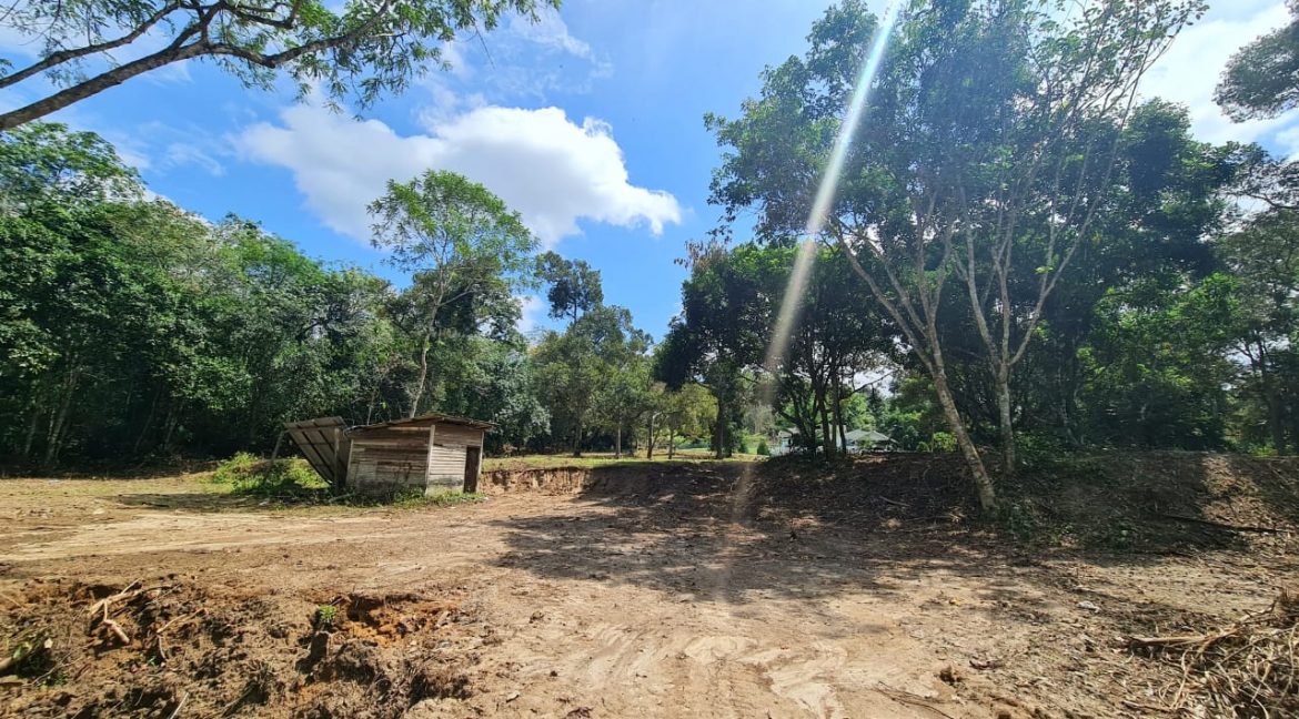 043e6acc-ef51-43f4-b1c9-e0296264bd42