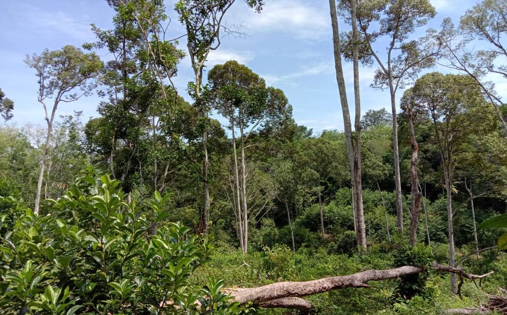 1fe05299-a163-40aa-8892-22f8ecd3d5b5