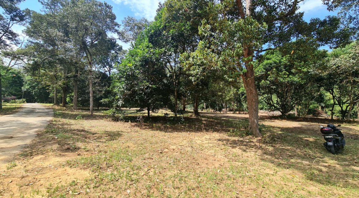 574d8265-0b6d-4207-a66d-5a3fe50248ac