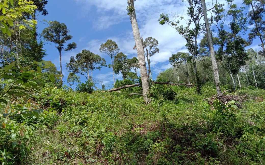 58e12287-e185-4d72-93e7-b34002044244