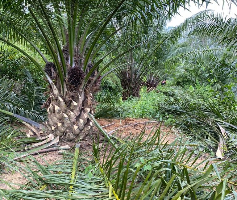 5a273e4f-b655-4d4b-8906-76843984bff6