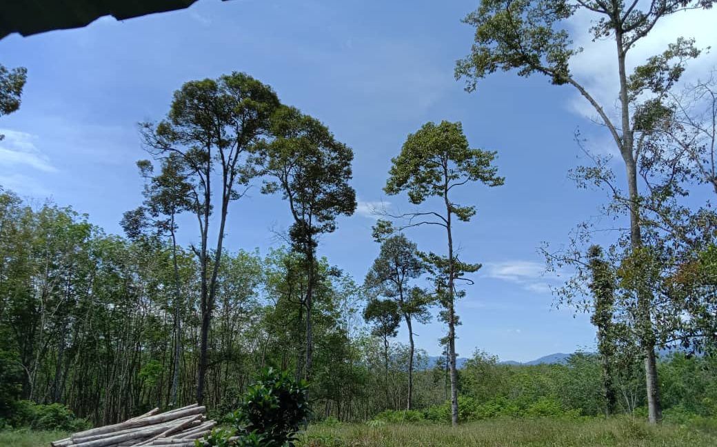 5ed8362d-5e2c-402c-8c1e-568e36a645c0