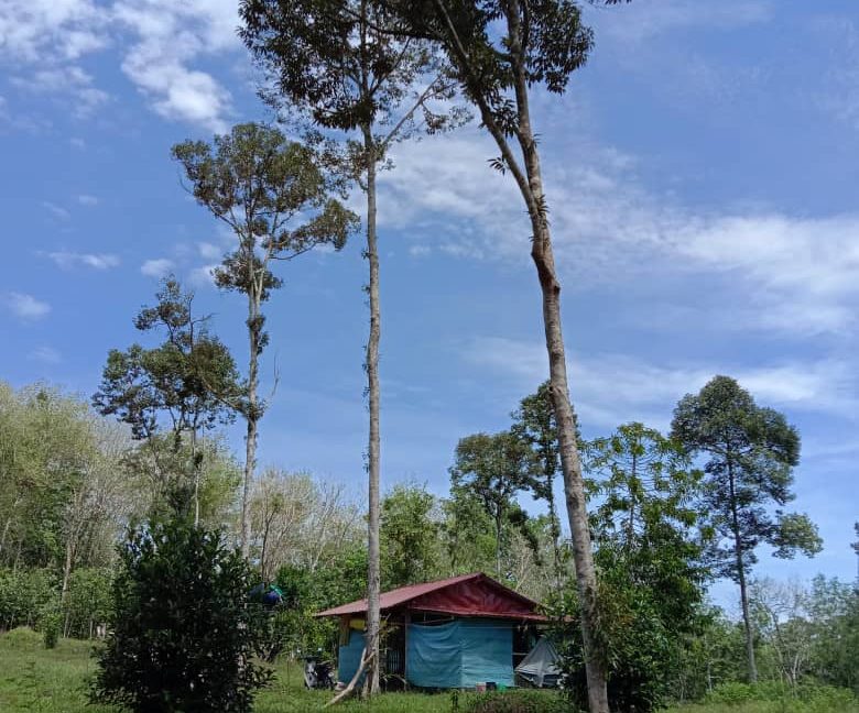 62fc980a-1538-4976-9884-18a1dcb4329c