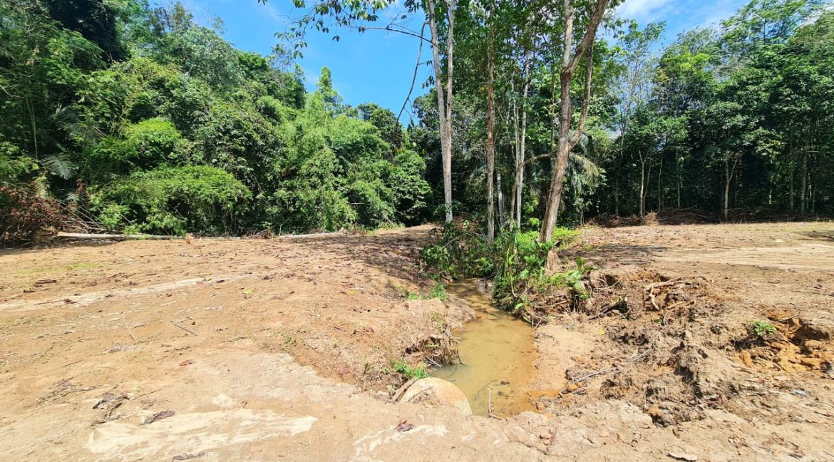 679c4d5c-87dc-4f2a-855c-4ca5e4a93a53