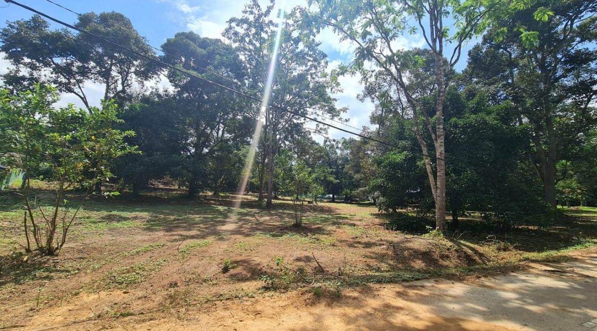 bf607741-ecbd-461e-8ce2-82ac2ec12d50