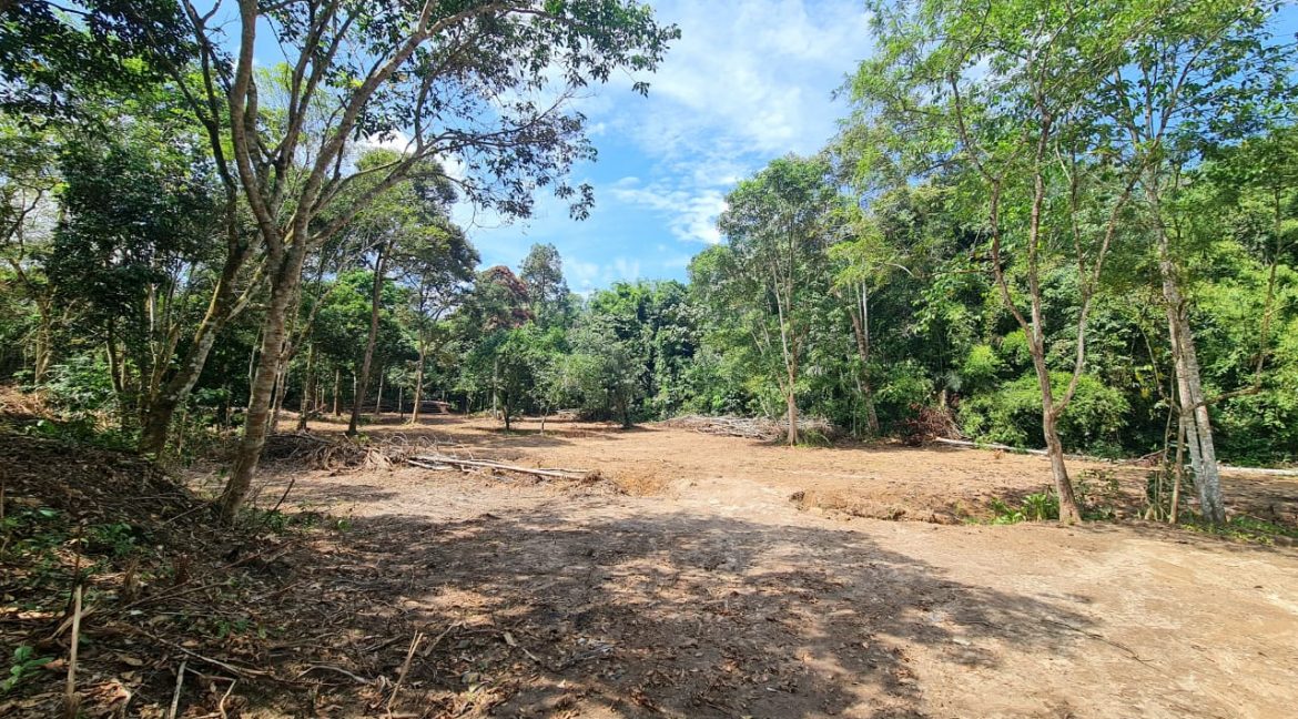 cfe15028-6b4f-4f2c-aa80-075e945e28aa