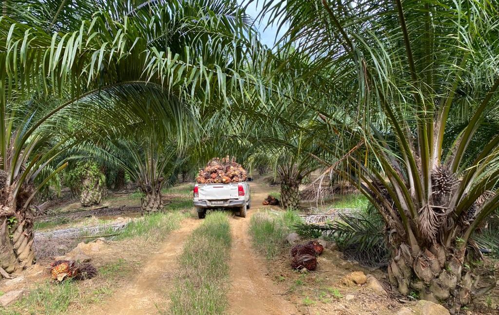 e00fec93-b52a-481a-8e56-800439b2ff67