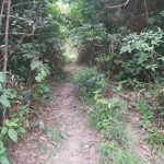 Tanah Kampung Gemetir Terachi Kuala Pilah