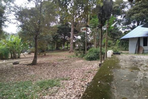 Tanah Sungai Machang Kecil Lenggeng