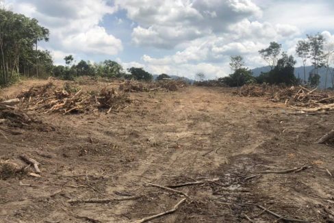 Tanah Batu 16 Dusun Tua