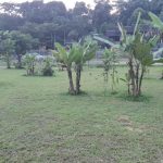 Tanah Lot Sungai Serai Hulu Langat