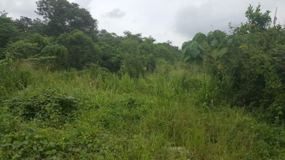 Tanah Bandar Baru Nilai