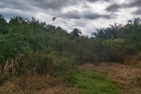 Tanah Ulu Muar Kuala Pilah