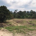 Tanah Sungai Lui Hulu Langat