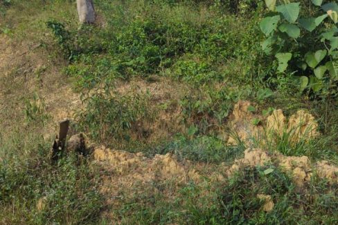 Tanah Malan Kepis Kuala Pilah