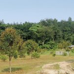 Tanah Kampung Tegor Lenggeng