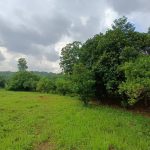 Tanah Salak Tinggi Sepang