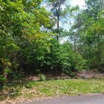 Bungalow lot Nilai Spring Villas