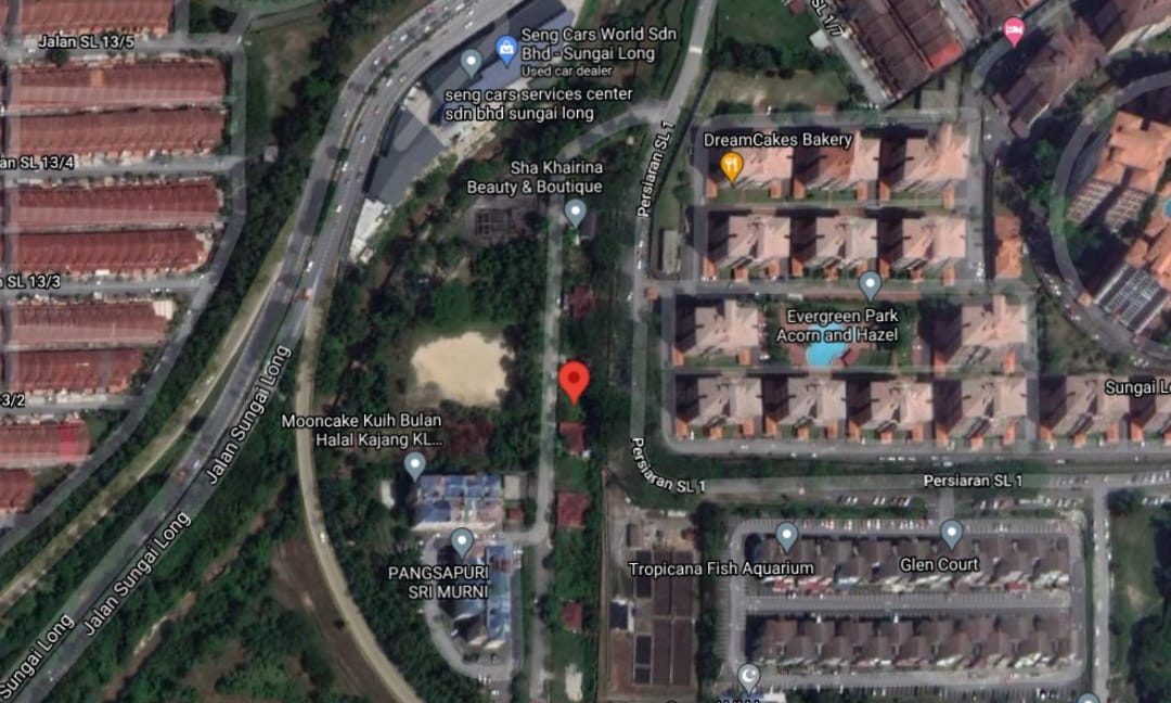 8169af41-85fd-44f5-a94a-698f81decf66