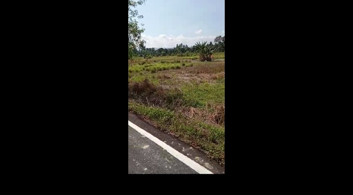 86d5e9d2-a630-4181-b951-97c7613e1086