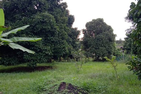 Tanah Kampung Gebok Mantin