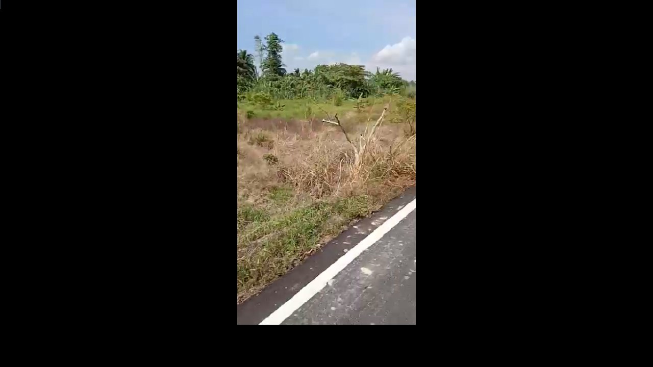 Tanah Sesapan Minangkabau Beranang