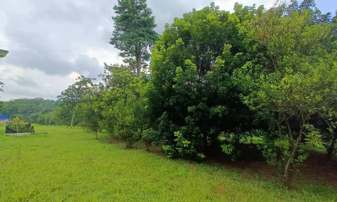 c941573f-f060-4daf-8472-23c829a5f348