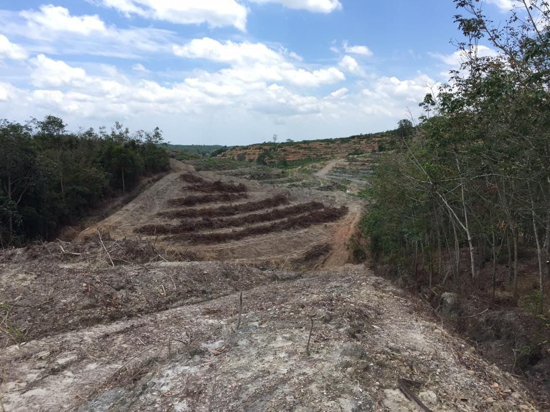 Tanah Tanjung Kling Rembau