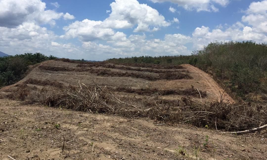 d2c6f708-e4c7-48da-9f3b-2d6b2d5a73a3