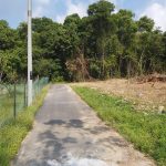 Tanah Jemapoh Ulu Muar Kuala Pilah