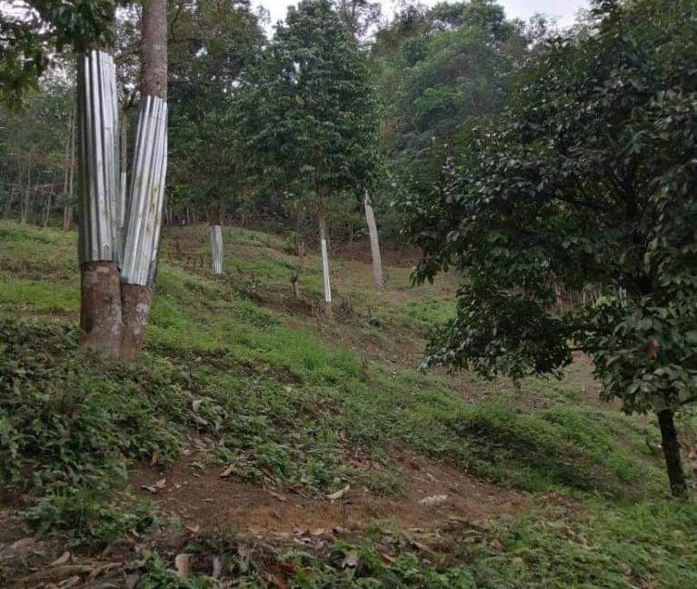 f1925c75-a3b2-41c7-b843-212e180a801f