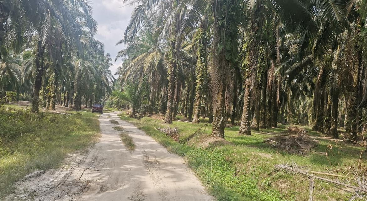 294298580_171181852144842_2572135942167257454_n