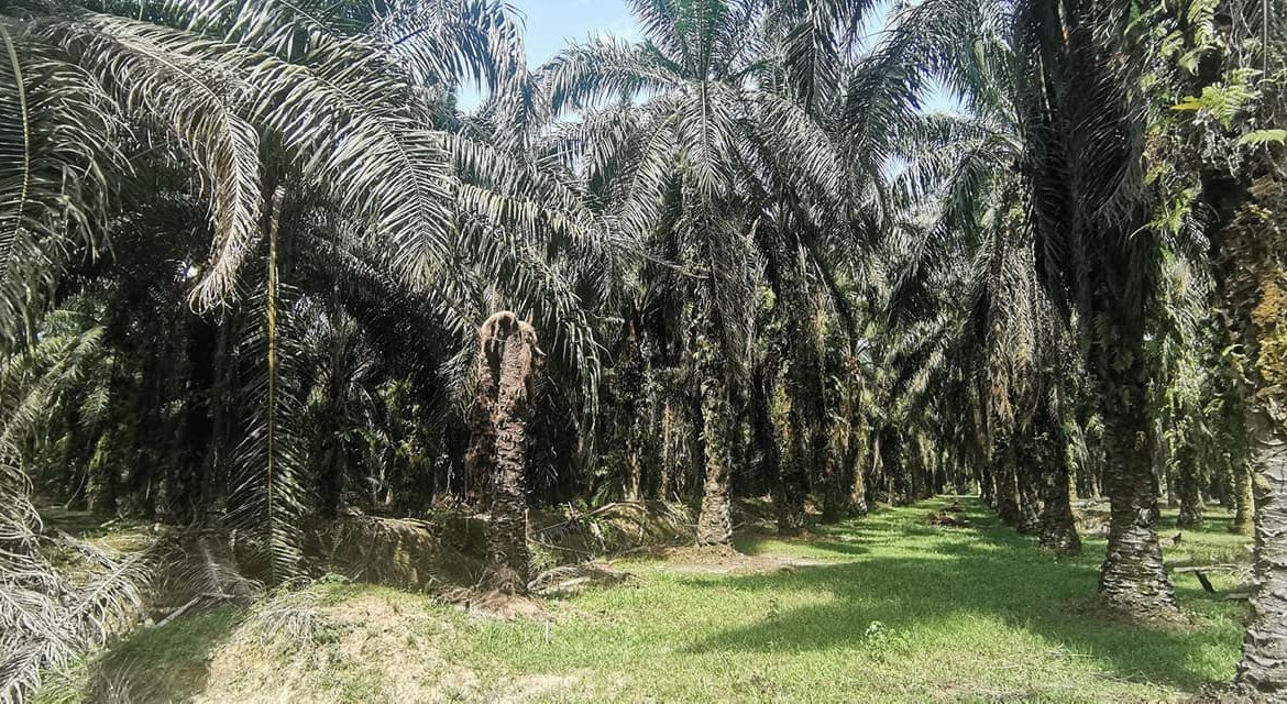 295120988_171181885478172_3824979959993633093_n