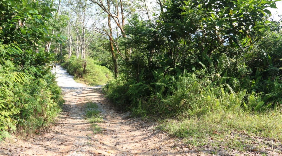 49a5e843-e5a8-49ce-af70-aaf24bf9e844