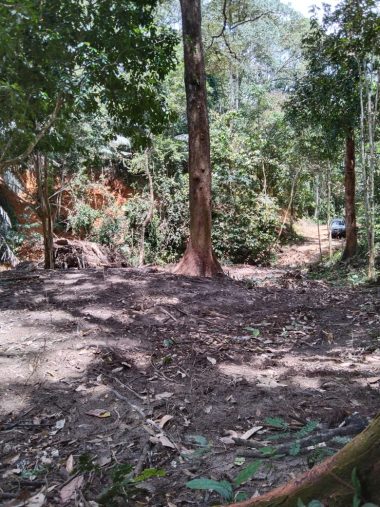 Tanah Kampung Gagu Jelebu