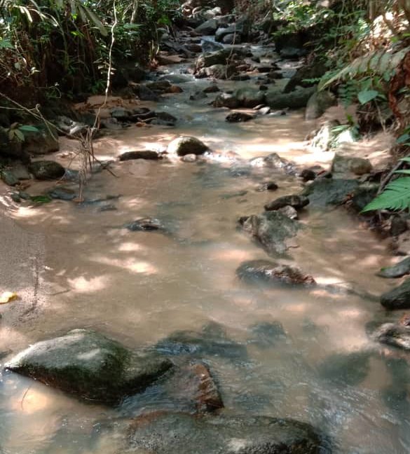 6da2f986-873d-4287-b248-21d2be362193