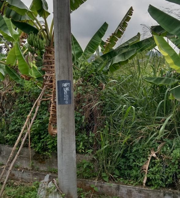 7c5968d2-dc63-4184-8be0-35ea0e2dc7bd