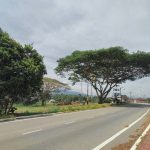 Tanah Sayong Kuala Kangsar