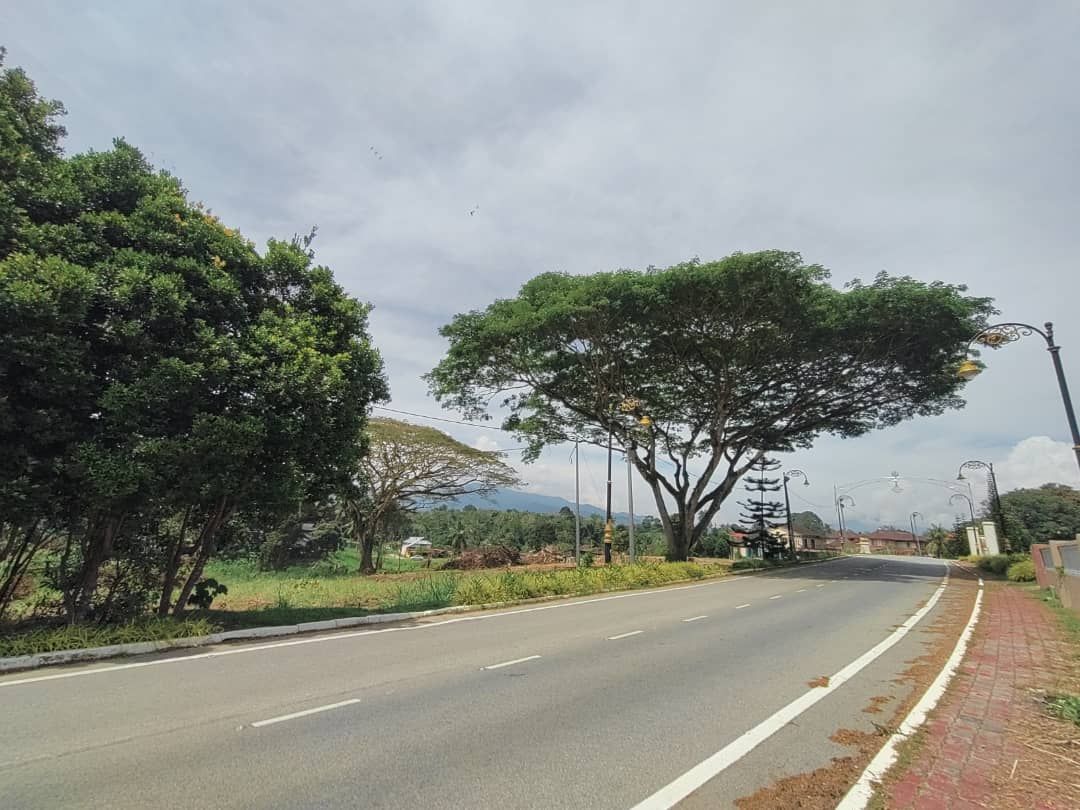 Tanah Sayong Kuala Kangsar