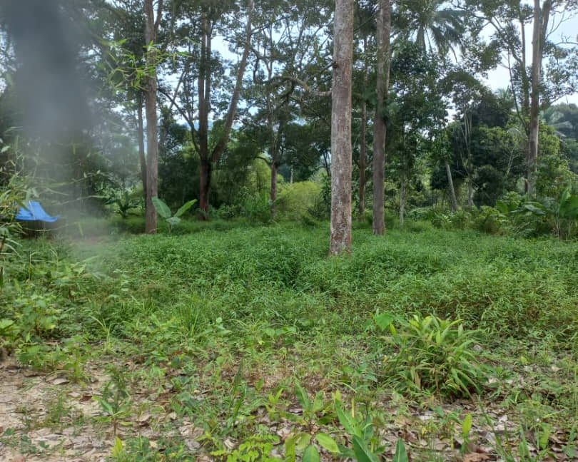 WhatsApp Image 2022-09-16 at 12.18.30 PM (1)