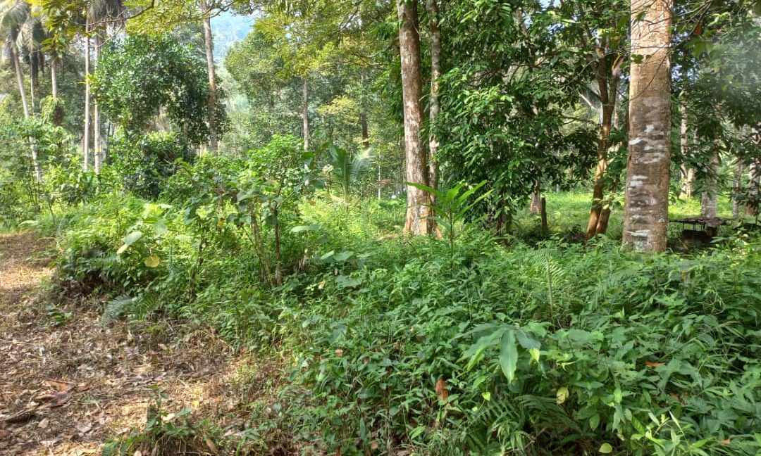 WhatsApp Image 2022-09-16 at 12.18.30 PM