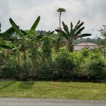 Tanah Tanjung Damai Tanjung Rambutan