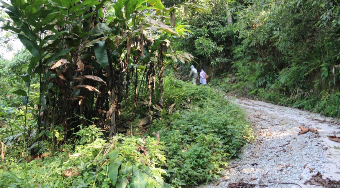 ac10a208-7d95-47e6-b5e5-04731e8f1461