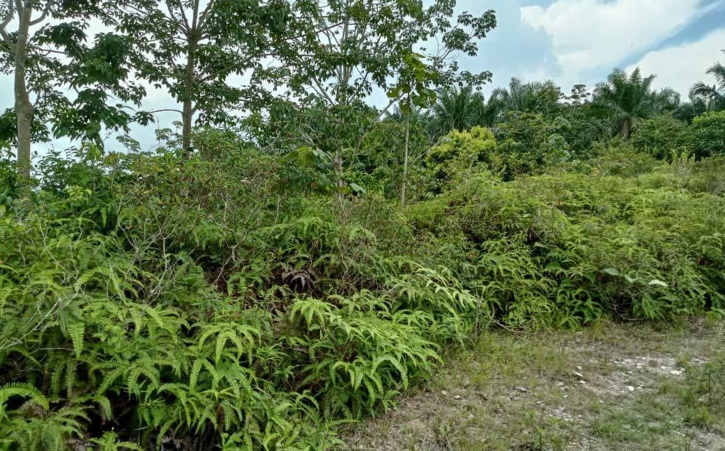 c628f4f9-b882-4c51-98aa-e79fc8d4ee66