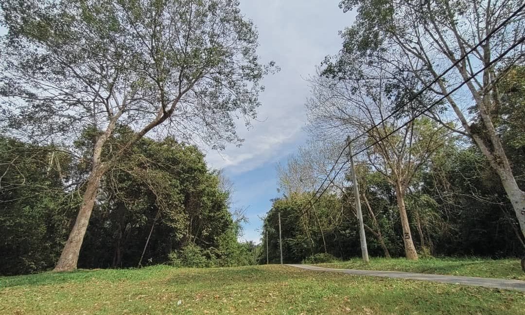 d1def6bd-02a7-4184-85c0-35584e08b73c