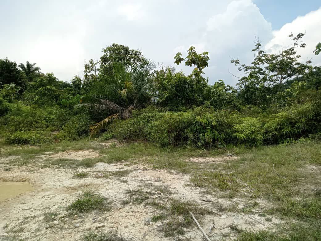 Tanah Kundur Hilir Rembau