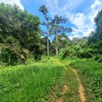 Tanah Kemensah Ulu Kelang