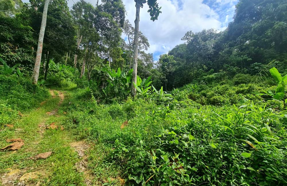 2cc0b608-6952-4006-bd3f-0dbb64d05ef3