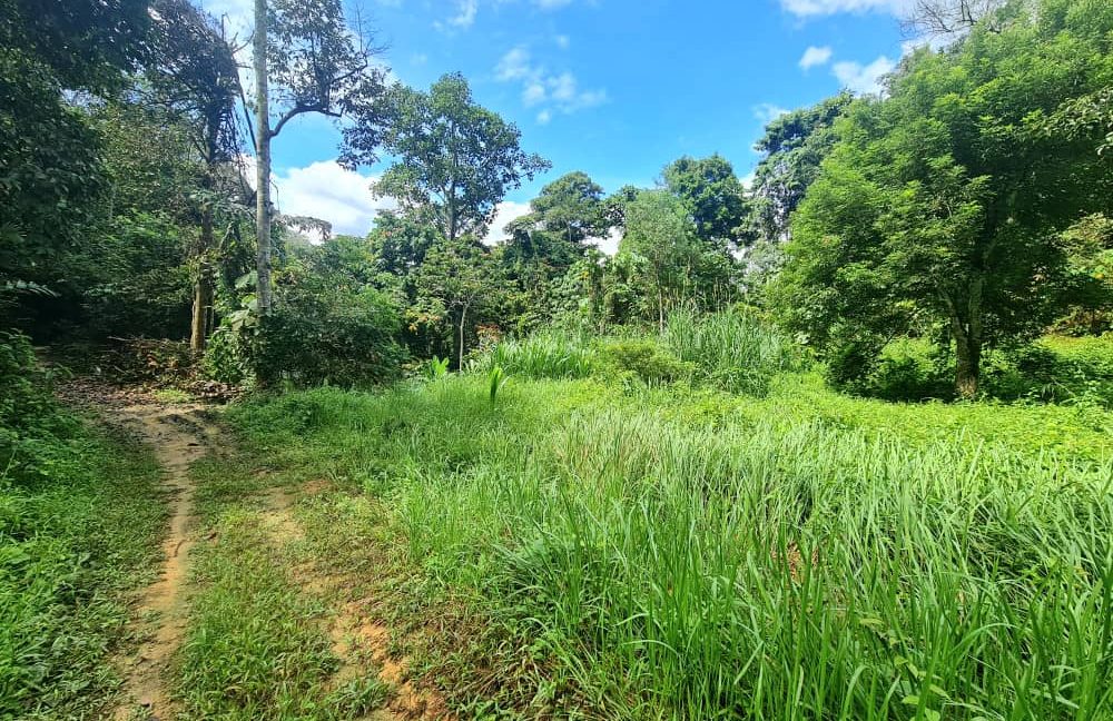 625a9434-773a-4d9c-8f9a-91fcd7b22877