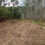 Tanah Kampung Ibol Terachi